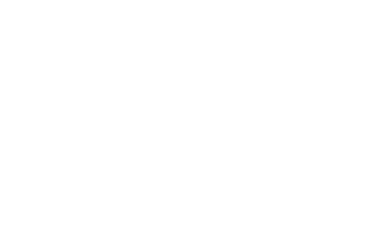 The Management Consultant